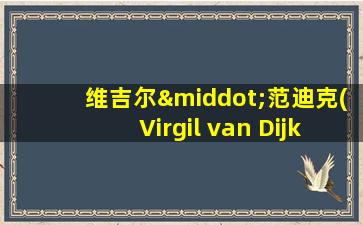 维吉尔·范迪克(Virgil van Dijk)